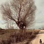 民宿 Swiat Jezior *