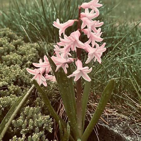 Swiat Jezior Mikołajki