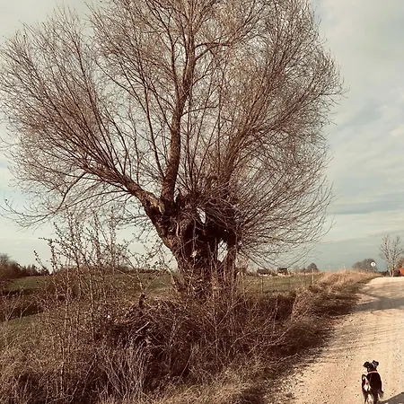 Alloggio in famiglia Swiat Jezior *