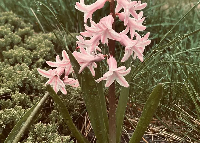 Swiat Jezior Mikołajki