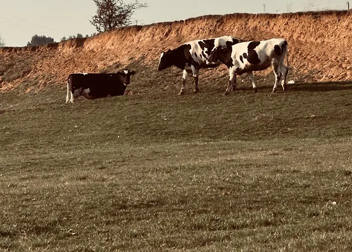 Swiat Jezior * Mikołajki