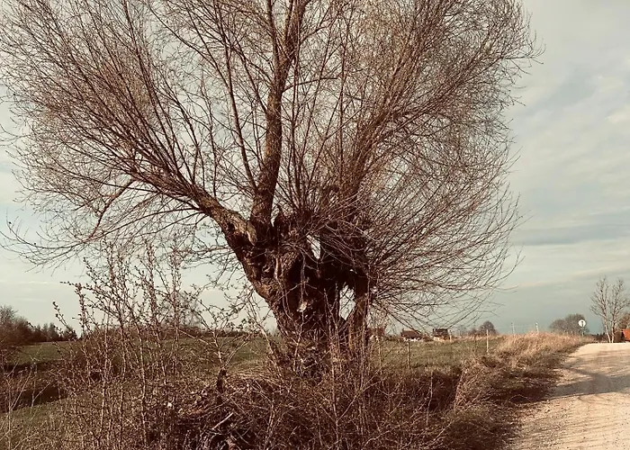 Accommodatie bij particulieren Swiat Jezior *